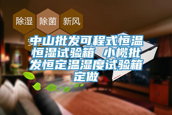 中山批發(fā)可程式恒溫恒濕試驗箱 小欖批發(fā)恒定溫濕度試驗箱定做