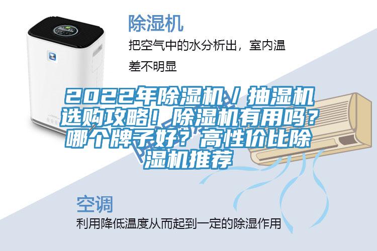 2022年除濕機／抽濕機選購攻略！除濕機有用嗎？哪個(gè)牌子好？高性?xún)r(jià)比除濕機推薦
