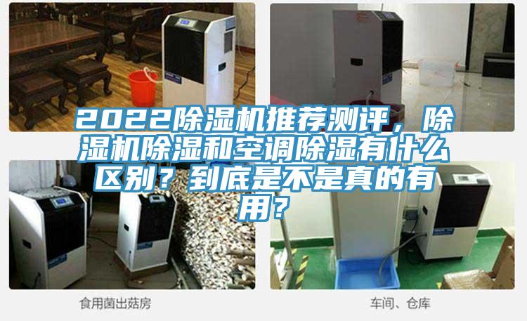 2022除濕機推薦測評，除濕機除濕和空調除濕有什么區別？到底是不是真的有用？