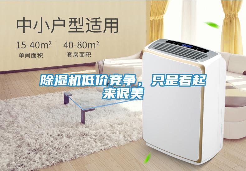 除濕機低價(jià)競爭，只是看起來(lái)很美