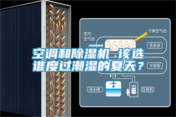 空調和除濕機 該選誰(shuí)度過(guò)潮濕的夏天？