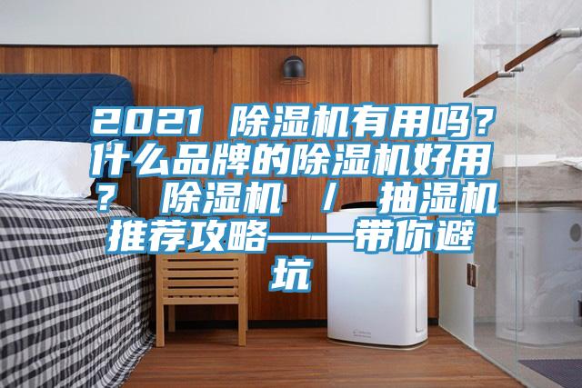 2021 除濕機有用嗎？什么品牌的除濕機好用？ 除濕機 ／ 抽濕機推薦攻略——帶你避坑