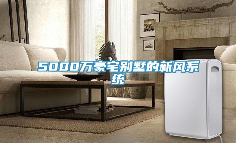 5000萬(wàn)豪宅別墅的新風(fēng)系統