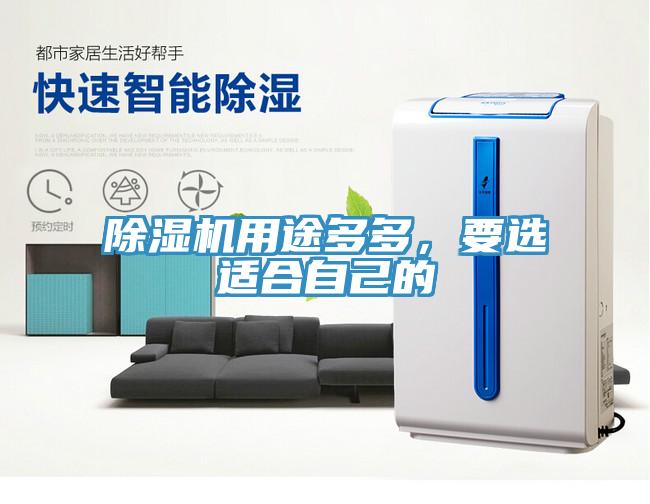 除濕機用途多多，要選適合自己的