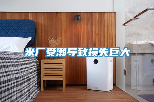 米廠(chǎng)受潮導致?lián)p失巨大