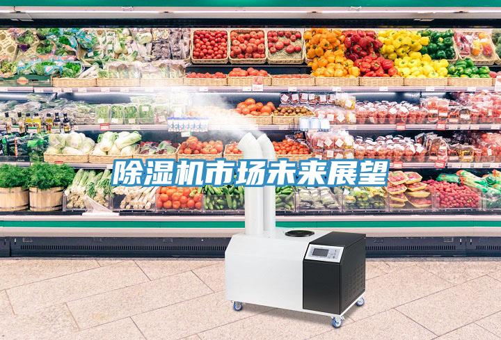 除濕機市場(chǎng)未來(lái)展望