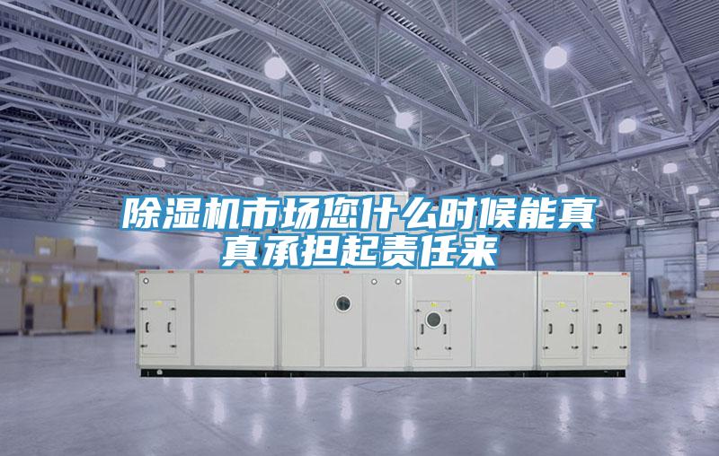 除濕機市場(chǎng)您什么時(shí)候能真真承擔起責任來(lái)