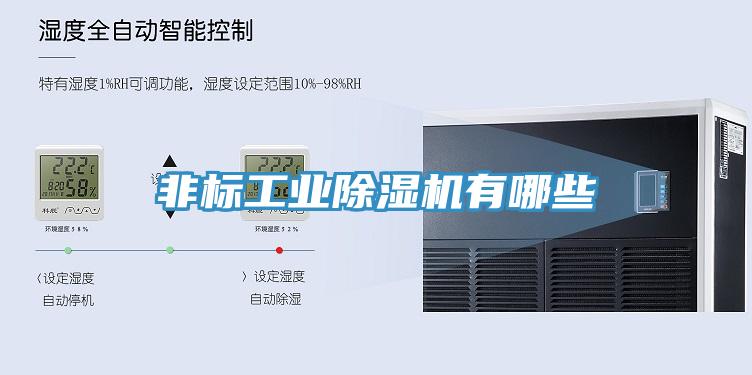 非標工業(yè)除濕機有哪些