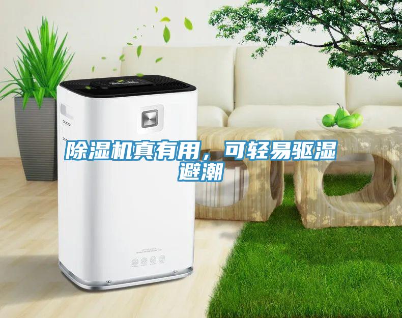除濕機真有用，可輕易驅濕避潮