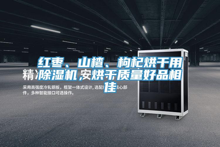 紅棗、山楂、枸杞烘干用除濕機，烘干質(zhì)量好品相佳