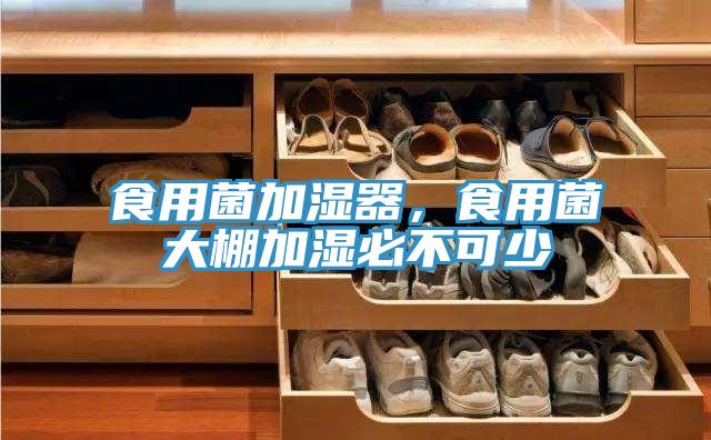 食用菌加濕器，食用菌大棚加濕必不可少