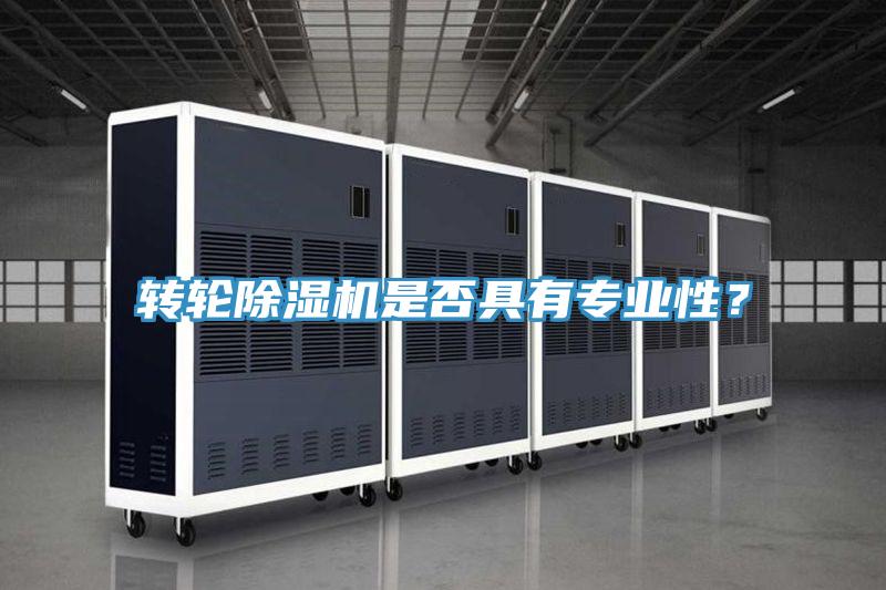 轉輪除濕機是否具有專(zhuān)業(yè)性？