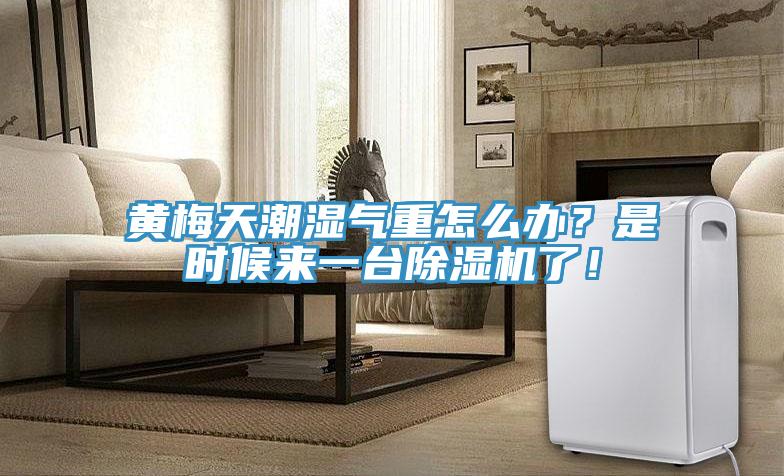 黃梅天潮濕氣重怎么辦？是時(shí)候來(lái)一臺除濕機了！