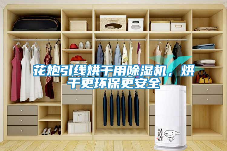 花炮引線(xiàn)烘干用除濕機，烘干更環(huán)保更安全