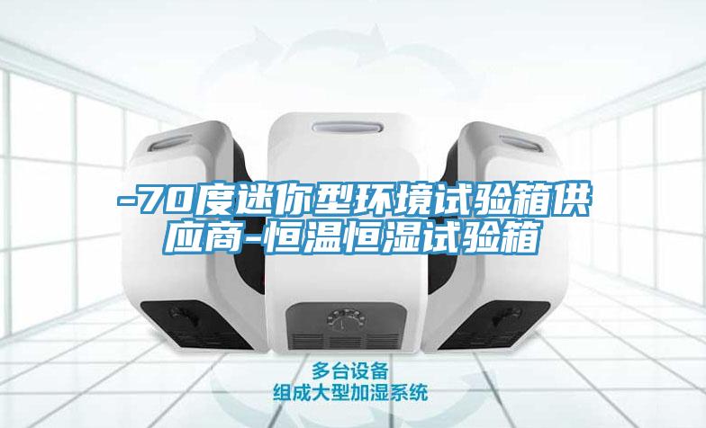 -70度迷你型環(huán)境試驗箱供應商-恒溫恒濕試驗箱