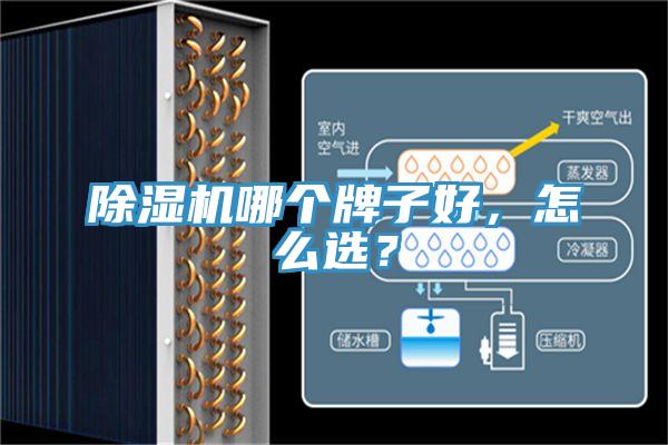 除濕機哪個(gè)牌子好，怎么選？