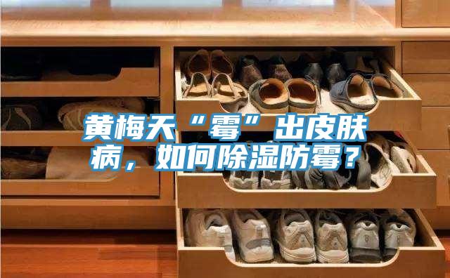 黃梅天“霉”出皮膚病，如何除濕防霉？