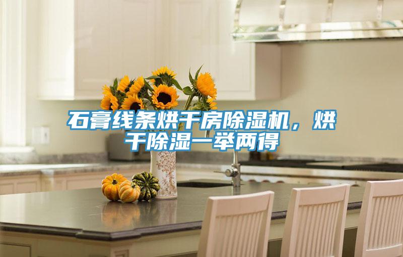 石膏線(xiàn)條烘干房除濕機，烘干除濕一舉兩得
