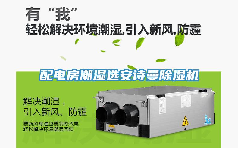 配電房潮濕選安詩(shī)曼除濕機