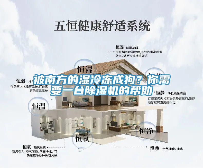 被南方的濕冷凍成狗？你需要一臺除濕機的幫助