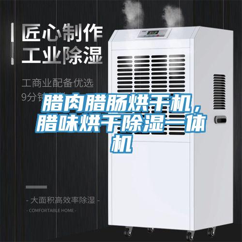 臘肉臘腸烘干機，臘味烘干除濕一體機