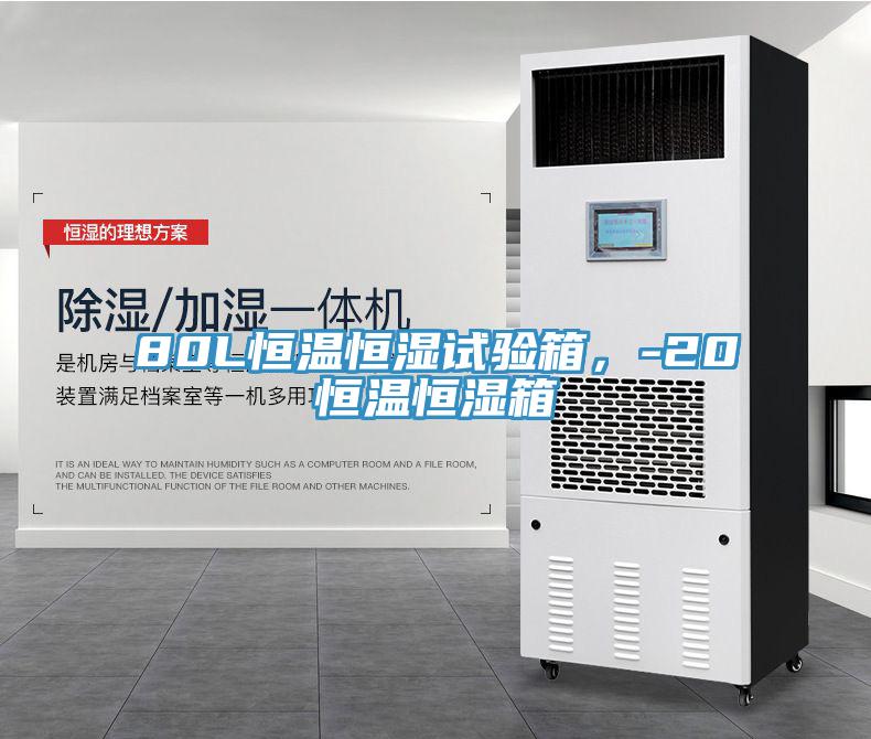 80L恒溫恒濕試驗箱，-20℃恒溫恒濕箱