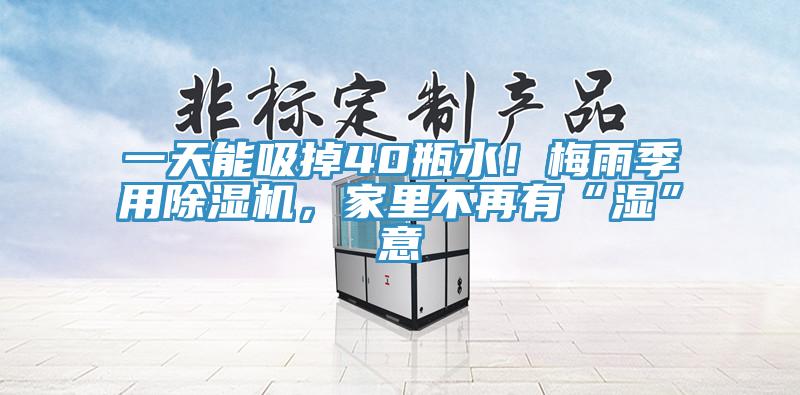 一天能吸掉40瓶水！梅雨季用除濕機，家里不再有“濕”意