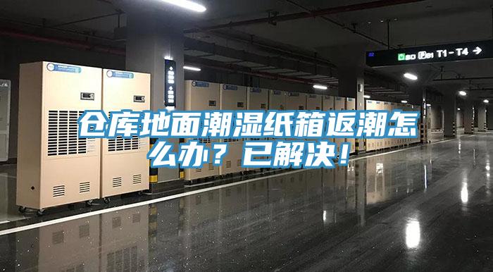 倉庫地面潮濕紙箱返潮怎么辦？已解決！