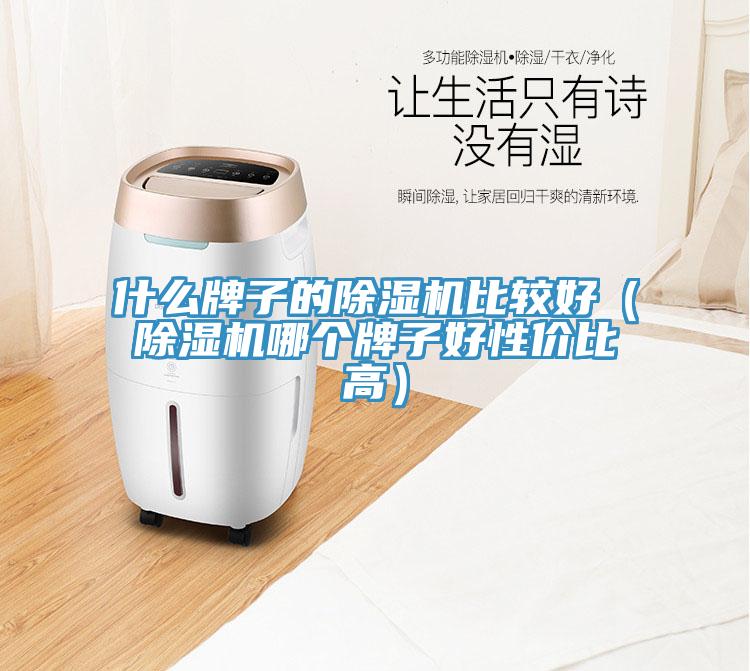 什么牌子的除濕機比較好（除濕機哪個(gè)牌子好性?xún)r(jià)比高）