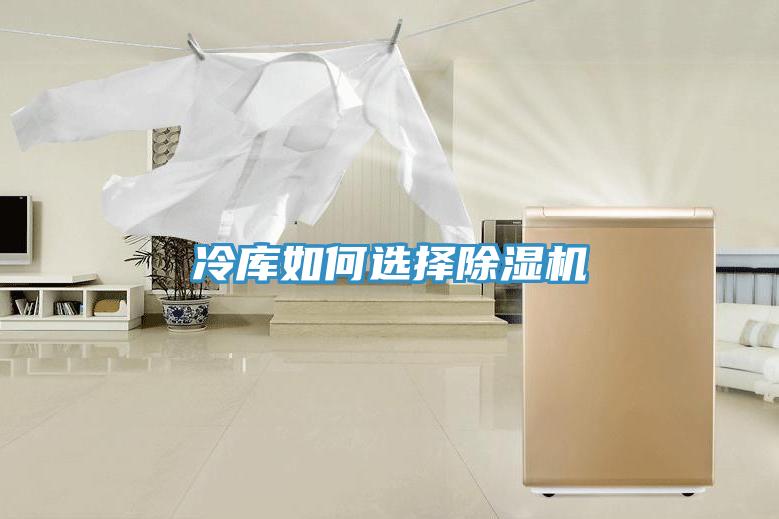 冷庫如何選擇除濕機