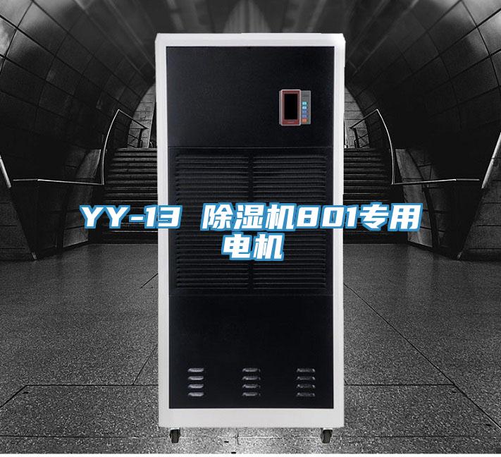 YY-13 除濕機801專(zhuān)用電機