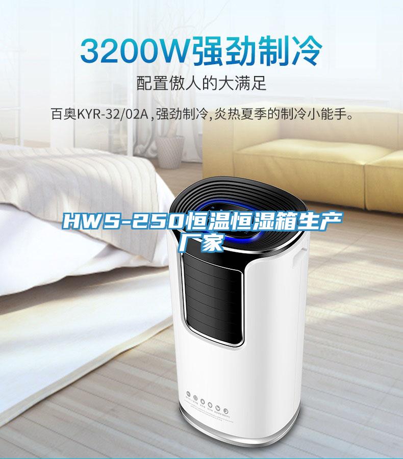 HWS-250恒溫恒濕箱生產(chǎn)廠(chǎng)家