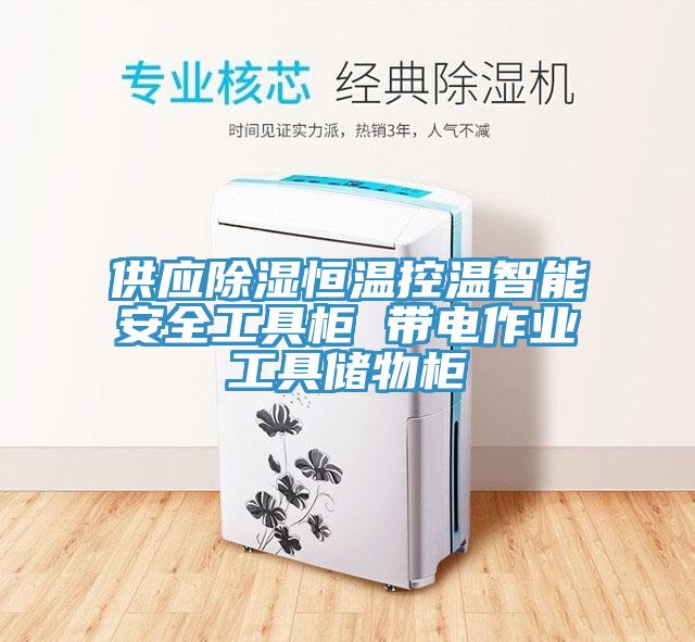 供應除濕恒溫控溫智能安全工具柜 帶電作業(yè)工具儲物柜