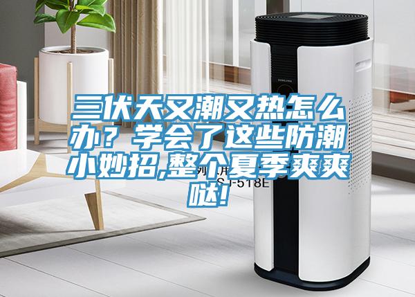 三伏天又潮又熱怎么辦？學(xué)會(huì )了這些防潮小妙招,整個(gè)夏季爽爽噠!