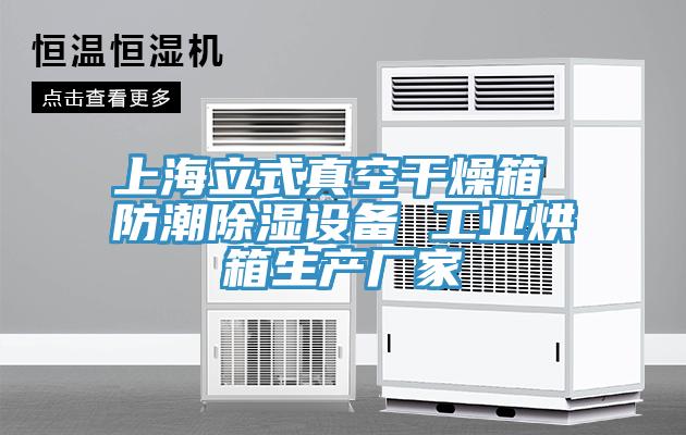 上海立式真空干燥箱 防潮除濕設備 工業(yè)烘箱生產(chǎn)廠(chǎng)家