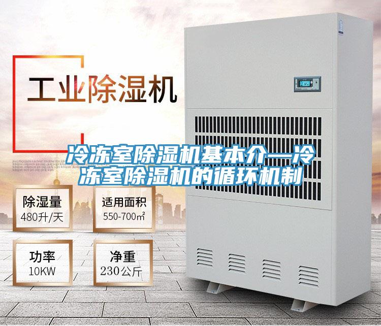 冷凍室除濕機基本介—冷凍室除濕機的循環(huán)機制
