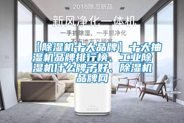 【除濕機十大品牌】十大抽濕機品牌排行榜、工業(yè)除濕機什么牌子好、除濕機品牌網(wǎng)