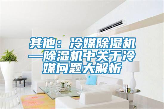 其他：冷媒除濕機—除濕機中關(guān)于冷媒問(wèn)題大解析