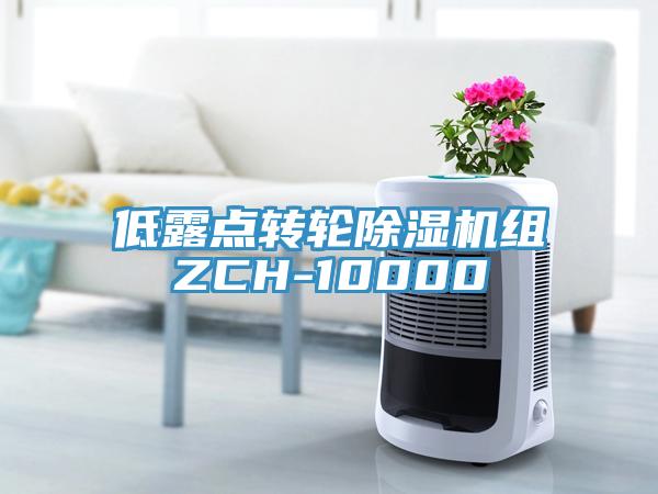 低露點(diǎn)轉輪除濕機組ZCH-10000