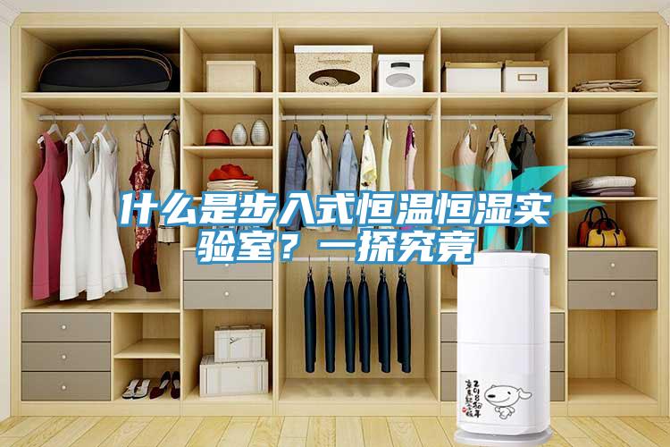 什么是步入式恒溫恒濕實(shí)驗室？一探究竟