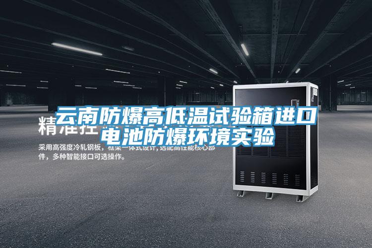 云南防爆高低溫試驗箱進(jìn)口電池防爆環(huán)境實(shí)驗