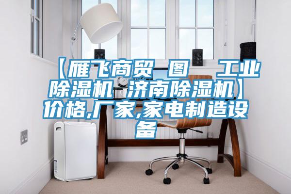 【雁飛商貿 圖  工業(yè)除濕機 濟南除濕機】?jì)r(jià)格,廠(chǎng)家,家電制造設備
