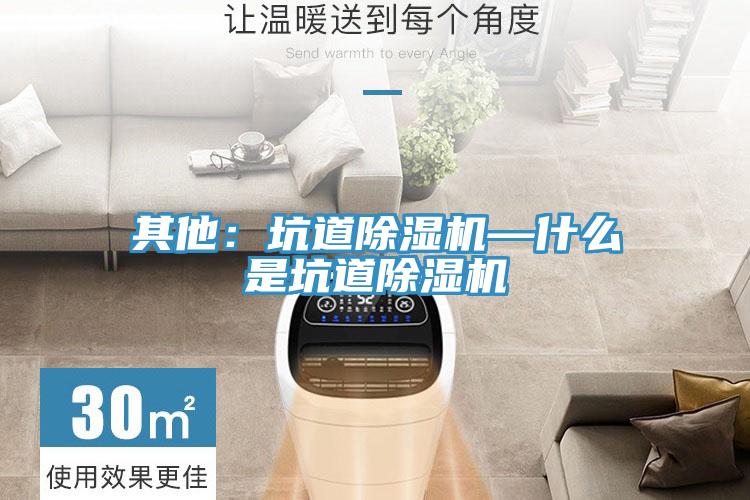 其他：坑道除濕機—什么是坑道除濕機