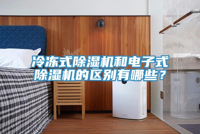 冷凍式除濕機和電子式除濕機的區別有哪些？