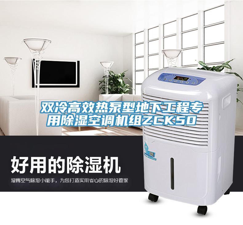 雙冷高效熱泵型地下工程專(zhuān)用除濕空調機組ZCK50