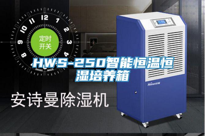 HWS-250智能恒溫恒濕培養箱