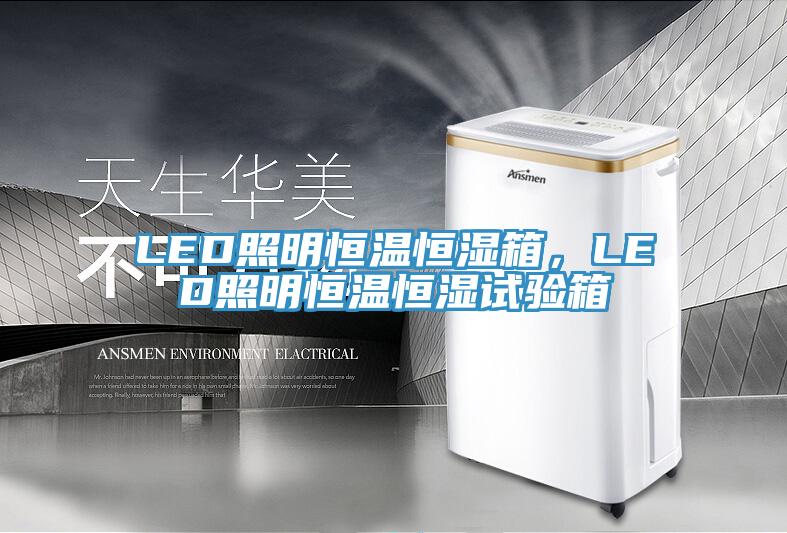 LED照明恒溫恒濕箱，LED照明恒溫恒濕試驗箱