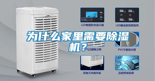 為什么家里需要除濕機？