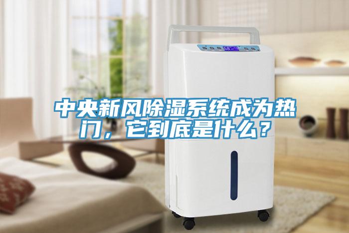 中央新風(fēng)除濕系統成為熱門(mén)，它到底是什么？