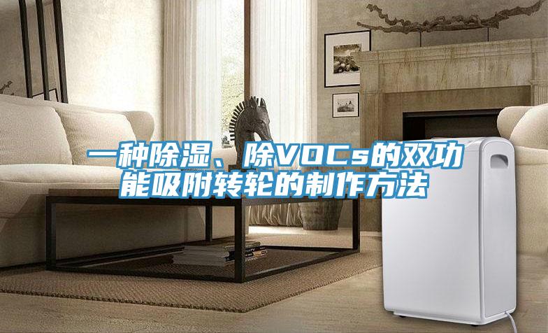 一種除濕、除VOCs的雙功能吸附轉輪的制作方法